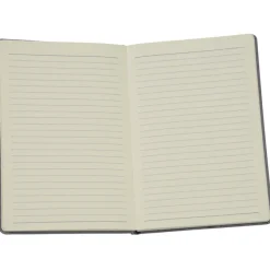 Meridian Journal
