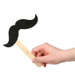 Mustache on a Stick