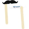 Mustache on a Stick - Vaudeville
