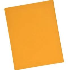Neoskin Torres Meeting Notebook