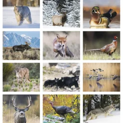 North American Wildlife Calendar