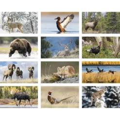 North American Wildlife Large Wall Calendar
