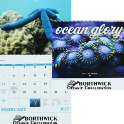Ocean Glory Calendar - Spiral