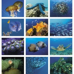 Ocean Glory Calendar - Stapled