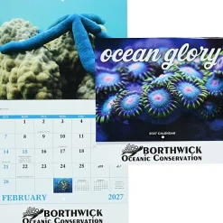 Ocean Glory Calendar - Stapled