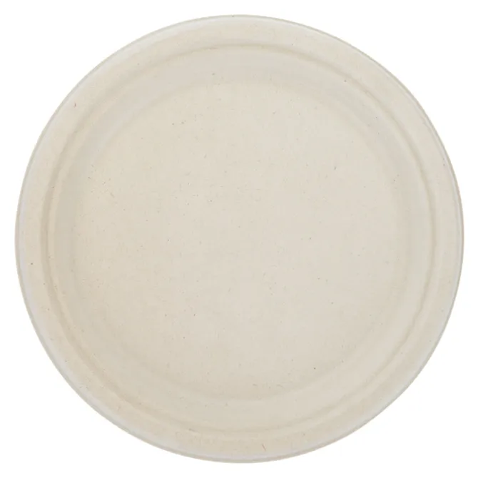 Paper Plate - 9 inches