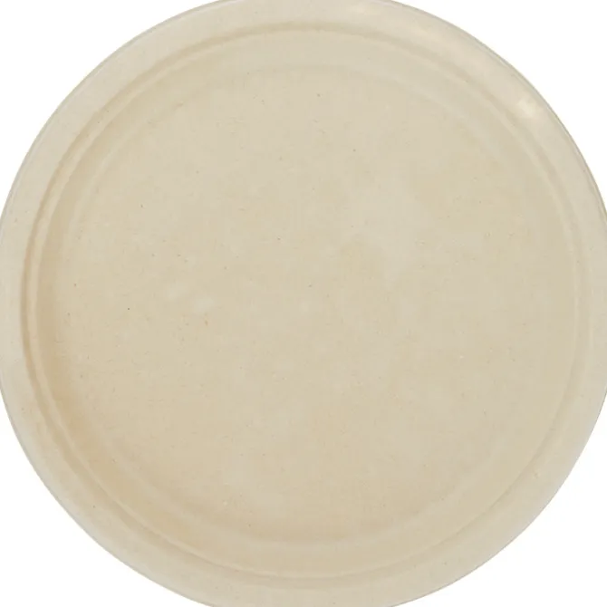 Paper Plate - 10 inches