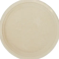 Paper Plate - 10 inches - Low Qty
