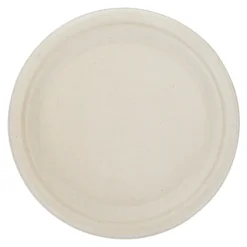 Paper Plate - 9 inches - Low Qty