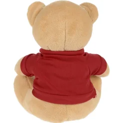 Patriotic Bear