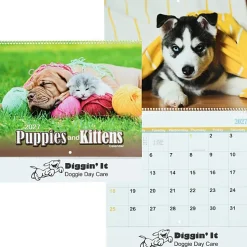 Paws - Puppies & Kittens Calendar - Spiral