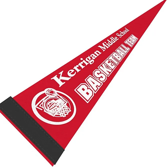 Pennant 5 inches x 12 inches - Colors