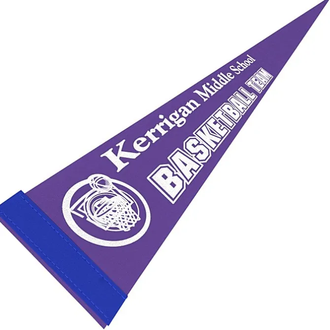 Pennant 5 inches x 12 inches - Colors