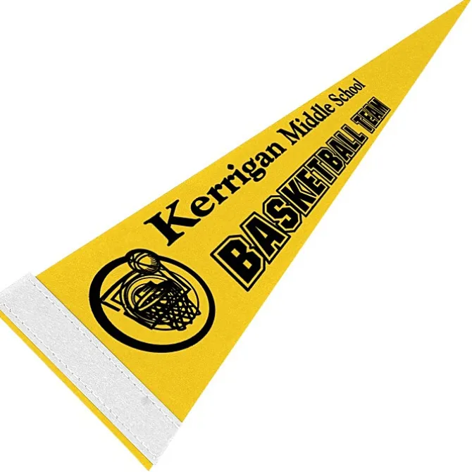 Pennant 5 inches x 12 inches - Colors