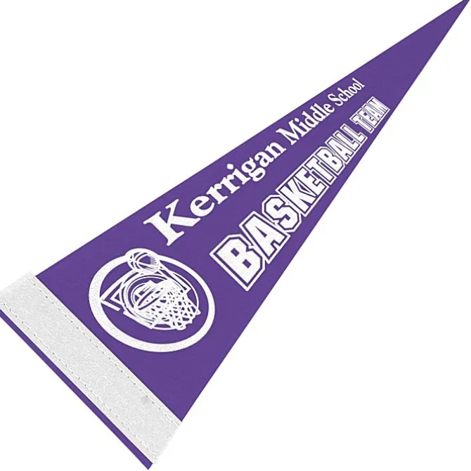 Pennant 5 inches x 12 inches - Colors