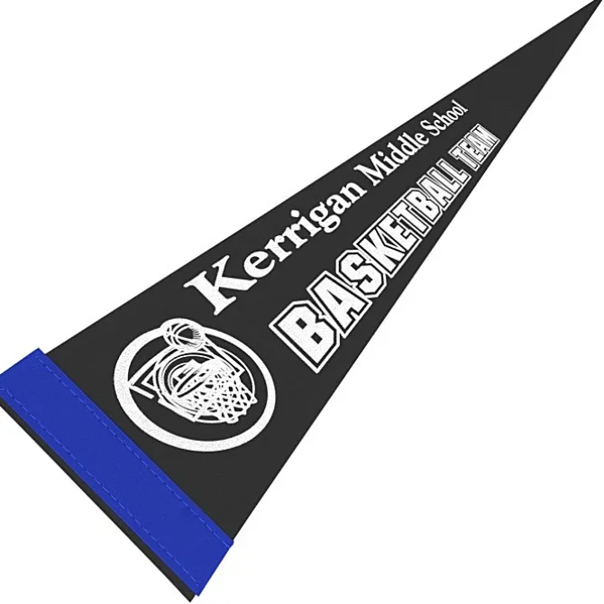 Pennant 5 inches x 12 inches - Colors