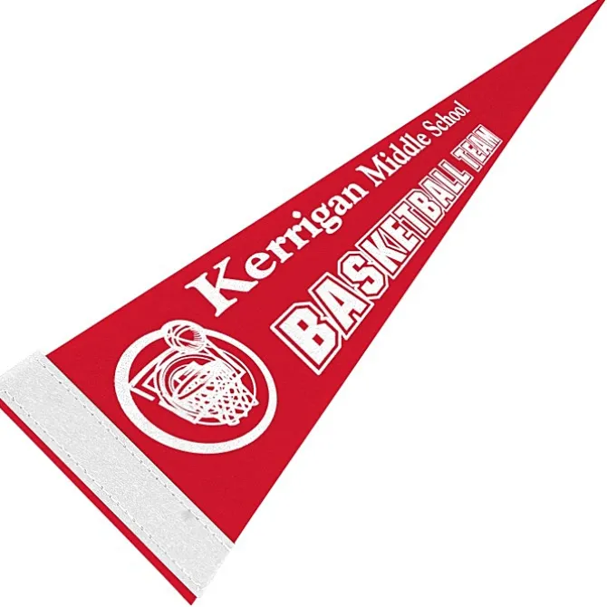 Pennant 5 inches x 12 inches - Colors
