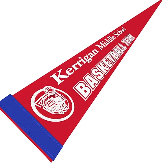 Pennant 5 inches x 12 inches - Colors
