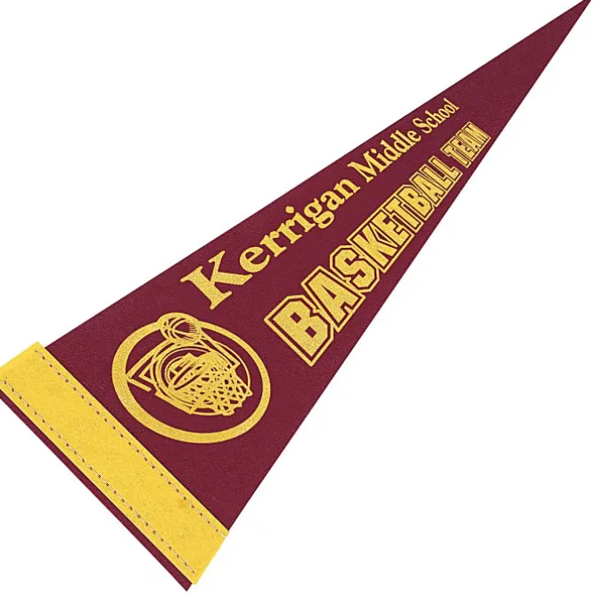 Pennant 5 inches x 12 inches - Colors