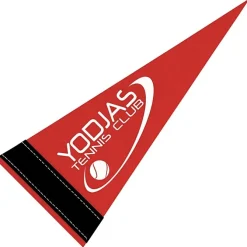 Pennant 4 inches x 10 inches - Colors