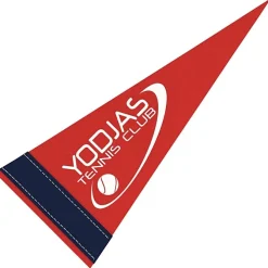 Pennant 4 inches x 10 inches - Colors