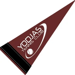 Pennant 4 inches x 10 inches - Colors