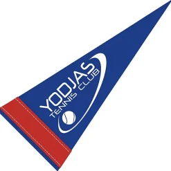 Pennant 4 inches x 10 inches - Colors