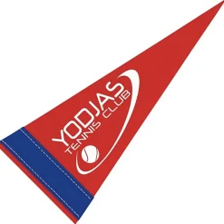 Pennant 4 inches x 10 inches - Colors