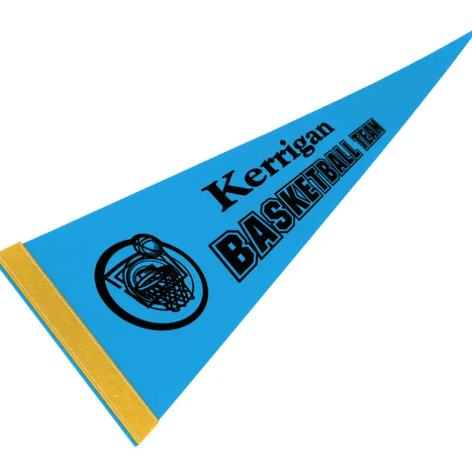 Pennant 8 inches x 18 inches - Colors