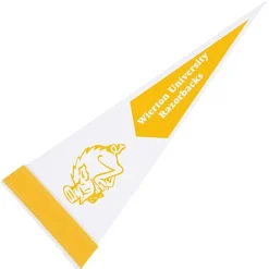 Pennant 5 inches x 12 inches - White