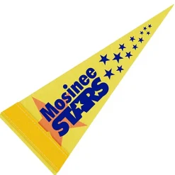 Pennant 4 inches x 10 inches - White - Full Color
