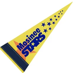 Pennant 4 inches x 10 inches - White - Full Color