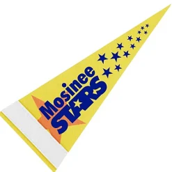 Pennant 4 inches x 10 inches - White - Full Color