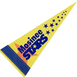 Pennant 4 inches x 10 inches - White - Full Color