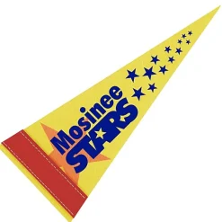 Pennant 4 inches x 10 inches - White - Full Color