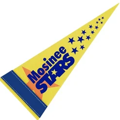 Pennant 4 inches x 10 inches - White - Full Color