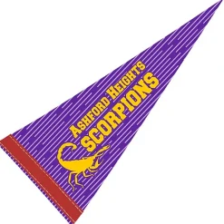Pennant 8 inches x 18 inches - White - Full Color