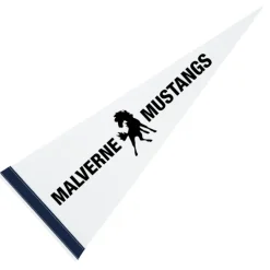 Pennant 9 inches x 24 inches - White