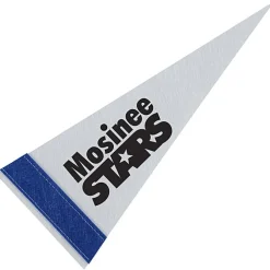 Pennant 4 inches x 10 inches - White