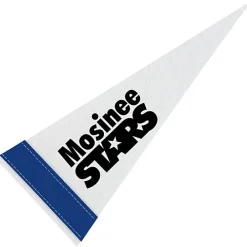 Pennant 4 inches x 10 inches - White