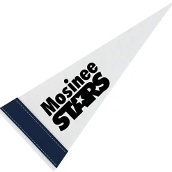 Pennant 4 inches x 10 inches - White