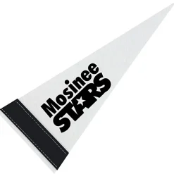 Pennant 4 inches x 10 inches - White