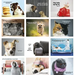 Pets with Attitude Wall Calendar - Stapled
