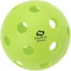 Pickleball Indoor Ball