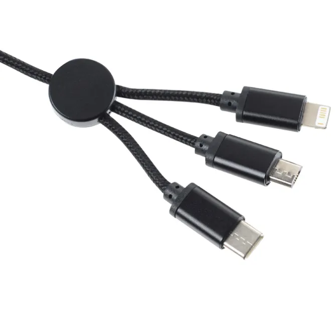 Pivot Charging Cable