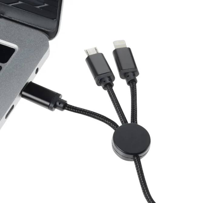 Pivot Charging Cable