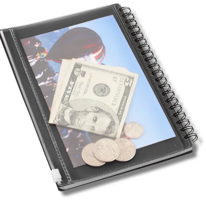 Pocket Buddy Notebook Set - Silver Barrel