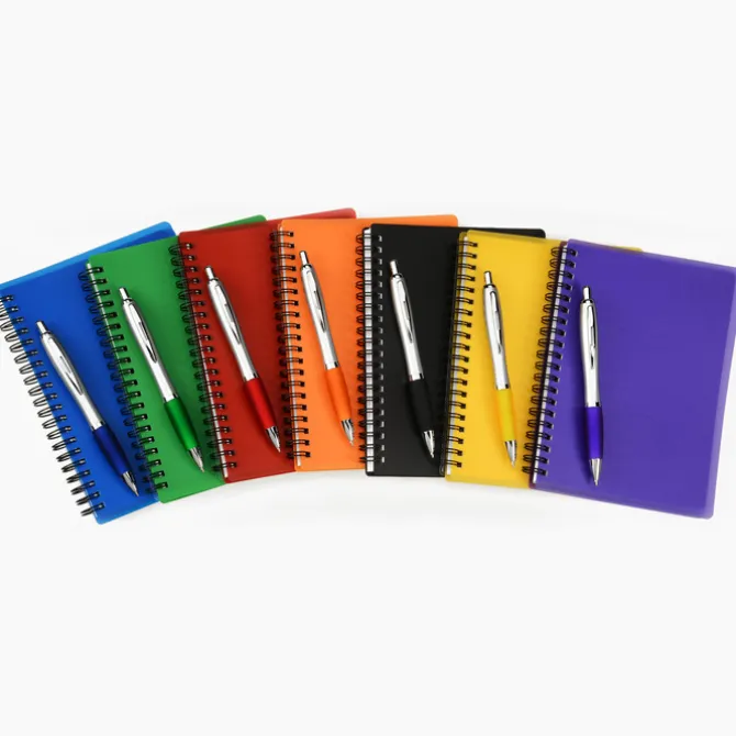 Pocket Buddy Notebook Set - Silver Barrel