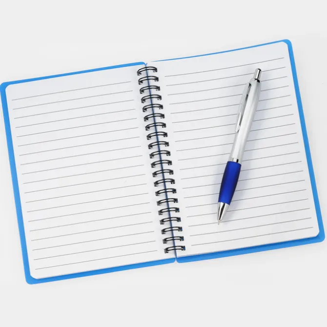 Pocket Buddy Notebook Set - Silver Barrel