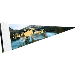 Premium Pennant 4 inches x 10 inches